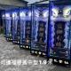 中型站獅(限告別式1天)/1.9米