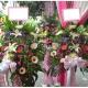 高架藝術花籃(A03款)