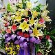 V款典雅高架藝術花籃  (花蓮鄉鎮)