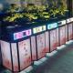 松柏 (9天)