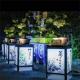 松柏(15天)
