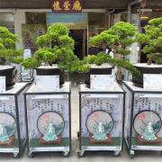 觀音燈箱松柏(靈堂~告別式)出租