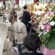 做七道士(一名)