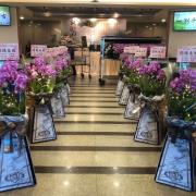 {5對出租}璀燦星空走道粉蘭花(限殯儀館告別式)