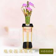 瓶安圓滿蘭花(自宅告別式出租)-粉花
