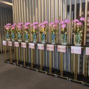 {出租}瓶安圓滿蘭花(限殯儀館告別式)-...