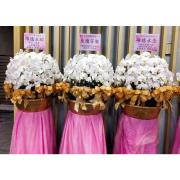 200cm帝王蘭花-台北,新北（白）單座