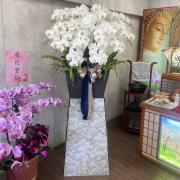 200cm霸王蘭花-台北,新北（白）單座