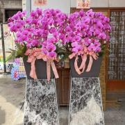 200cm租用霸王蘭花（粉）(限殯儀館內...