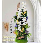175cm 租用君品蘭花(白）(限殯儀館...