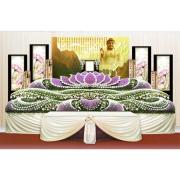 24尺愛蓮加強版