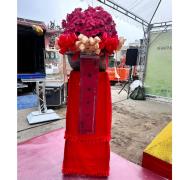 喜慶粉色球形蘭花(單座)/7天