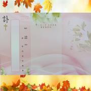 粉色百合基督天主訃聞(100張)