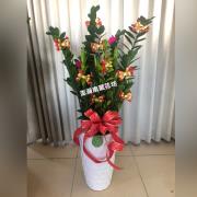 精緻開運竹盆栽