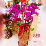 8株落地型粉色蘭花