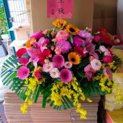 桌上盆花(單盆)