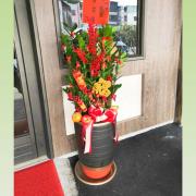 招財金錢樹盆栽