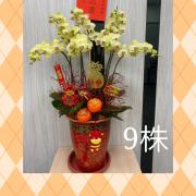 9株蘭花盆景(黃)