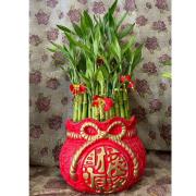 招財進寶開運竹E款(桌上型)