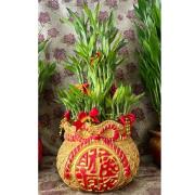 招財進寶開運竹F款(桌上型)