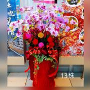 13株粉色蘭花盆景(台中)