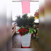 旺旺來組合盆裁(台中)