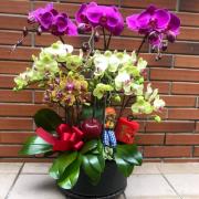 藝術蘭花盆景K款