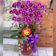 藝術蘭花盆景G款