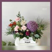 喜悅花禮盆花B03