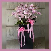 組合木箱粉色蘭花盆栽