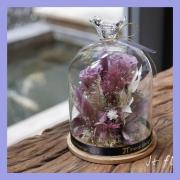 永生花玻璃罩(紫玫瑰)