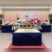 24尺花山 守護者之櫻