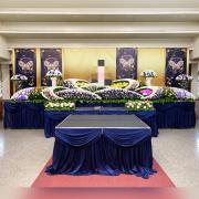 24尺花山 守護者之光