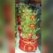 開運竹(滿福袋)