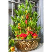 開運竹(桌上型)