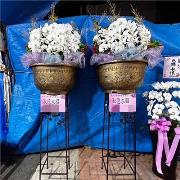 帝王燈光造景蘭花買斷(花器需回收)