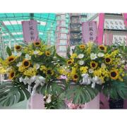 高架花籃A06