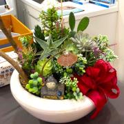 多肉植物造型盆栽C04