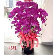 15株蘭花(粉或紅)