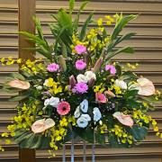 A07 高架花籃