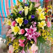 A10  高架花籃