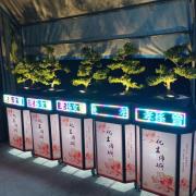 松柏 (9天)