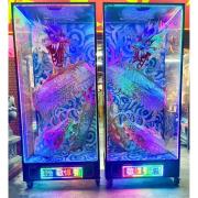 盤龍櫃 (14天)