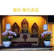 3株靈前蘭花(限中壢殯儀館及周圍私人會館...