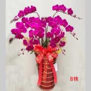 8株粉色蘭花