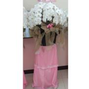 高雅水母白色蘭花(約30株)買斷