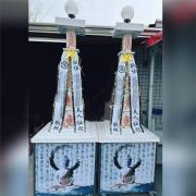 5層平安米塔(中興米，搭空盒，米2公斤*...
