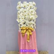 白色出租蘭花(限殯儀館內告別式單場)