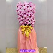 粉色出租蘭花(限殯儀館內告別式單場)基殯、桃殯、中壢殯