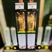 觀音/佛祖櫃(14天)不挑選款式